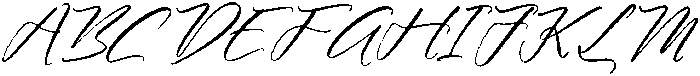 Floral Wish Italic otf (400) Font