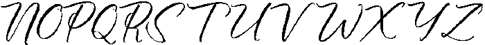 Floral Wish otf (400) Font UPPERCASE
