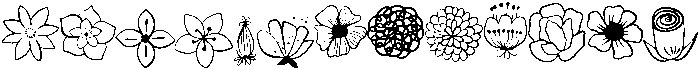 Flowers Regular otf (400) Font UPPERCASE