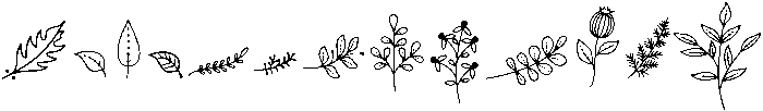 Flowers otf (400) Font UPPERCASE