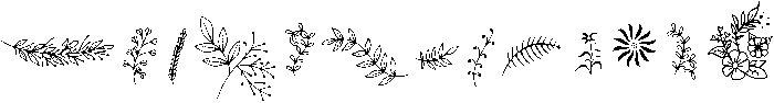 Flowers otf (400) Font UPPERCASE