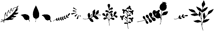 Flowers otf (400) FONT