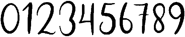 flower Regular otf (400) Font OTHER CHARS