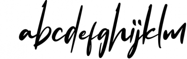 Flavellya - Luxury Signature Font Font LOWERCASE