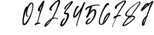 Flinckstone Ballpoint Stroke Signature Font Font OTHER CHARS