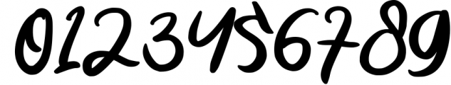 Flourissha Hand lettering Font 1 Font OTHER CHARS