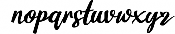 florissha - Beautiful Script Font Font LOWERCASE