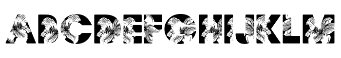 FLORALPERSONALUSE-Bold Font UPPERCASE