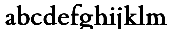 FlankerGriffo-Bold Font LOWERCASE