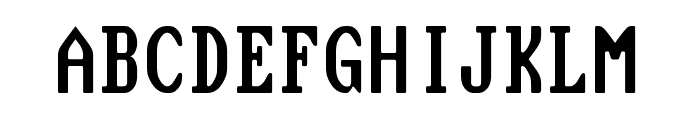 Flexi IBM VGA True Font UPPERCASE