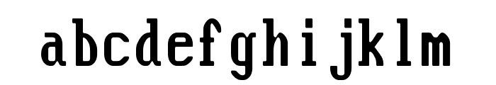Flexi IBM VGA True Font LOWERCASE