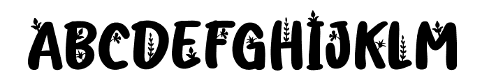 Fllorida FREE Font LOWERCASE
