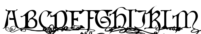 Flourishes and Fancies Font UPPERCASE