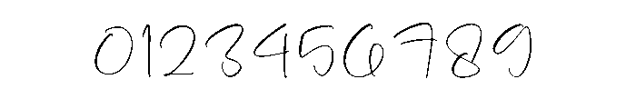 Flower Blossom Font OTHER CHARS