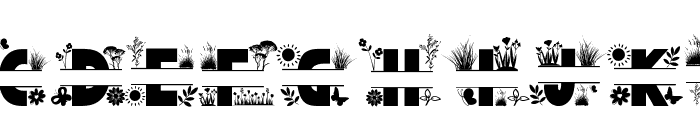 Flower Spring Monogram Only Font UPPERCASE