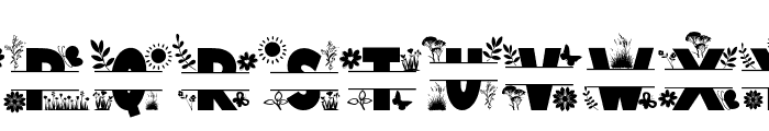 Flower Spring Monogram Only Font UPPERCASE