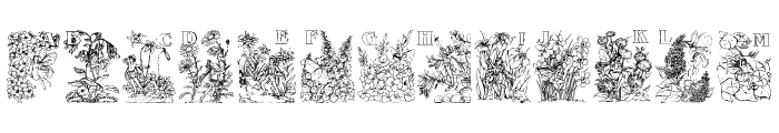 Flower and Fairy Alphabet Font LOWERCASE