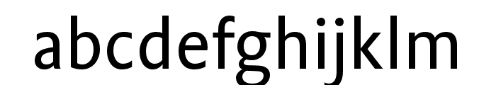 Flex Text Font LOWERCASE