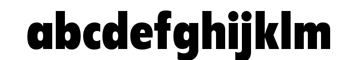 FlyerLTStd-BlackCondensed Font LOWERCASE