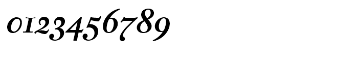 Fleischman BT Bold Italic Font OTHER CHARS