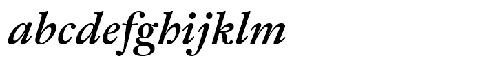 Fleischman BT Bold Italic Font LOWERCASE