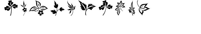 Floral Ornaments Font OTHER CHARS