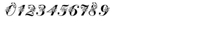 Floral Script Regular Font OTHER CHARS