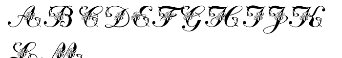 Floral Script Regular Font UPPERCASE