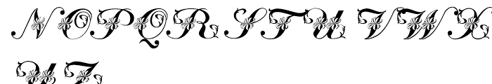 Floral Script Regular Font UPPERCASE