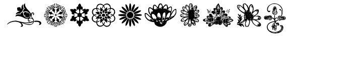 Flower Essences Font OTHER CHARS