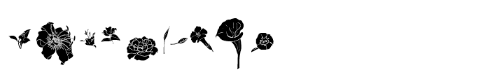 Flower Sketch Regular Font OTHER CHARS