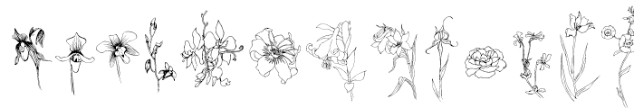 Flower Sketch Regular Font UPPERCASE