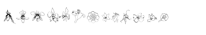 Flower Sketch Regular Font LOWERCASE