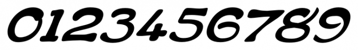 Flapper Oblique Regular Font OTHER CHARS