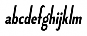 Fledgling Bold Italic Font LOWERCASE