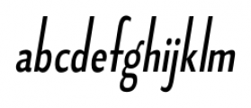 Fledgling Italic Font LOWERCASE