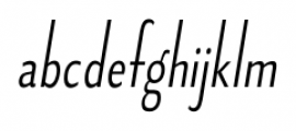 Fledgling Light Italic Font LOWERCASE