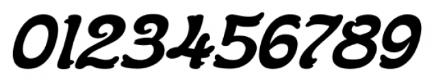 Flinscher Bold Italic Font OTHER CHARS