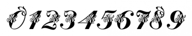 Floralscript Regular Font OTHER CHARS