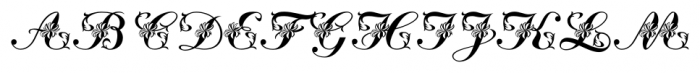 Floralscript Regular Font UPPERCASE