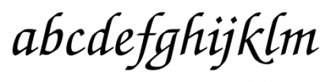 Florence Script FS Regular Font LOWERCASE