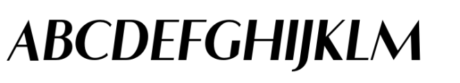 Flatline Sans Extra Bold Italic Font UPPERCASE