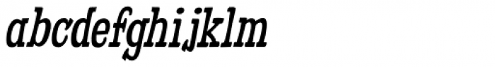 Fleabitten Italic Font LOWERCASE