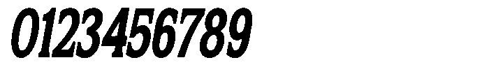 Flektura Contrast Condensed Italic Font OTHER CHARS
