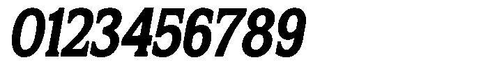 Flektura Contrast Italic Font OTHER CHARS