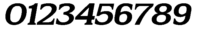 Flektura Ultra Expanded Slant Font OTHER CHARS