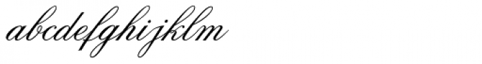 Flemish Script Std II Regular Font LOWERCASE