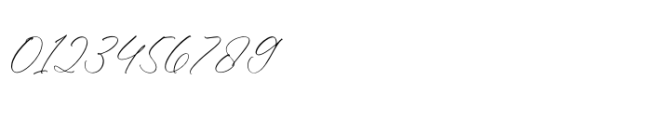 Florens Script Regular Font OTHER CHARS