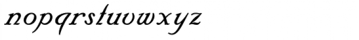 Floridian Script Font LOWERCASE