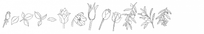 Flower Sketch Neue Font UPPERCASE
